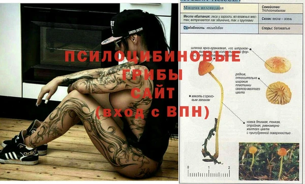 кокаин Алексеевка