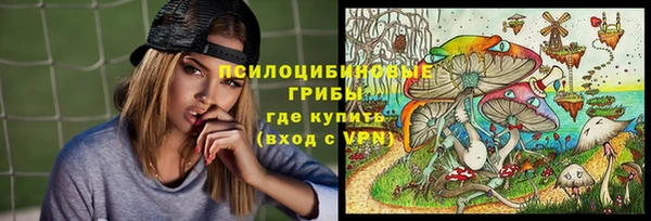 МДПВ Алзамай