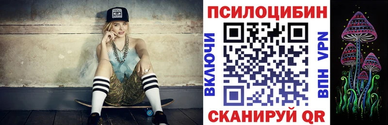 Псилоцибиновые грибы Cubensis  Киселёвск 