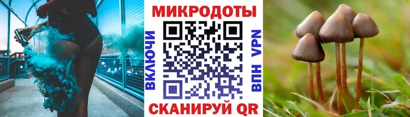 Галлюциногенные грибы мухоморы Киселёвск